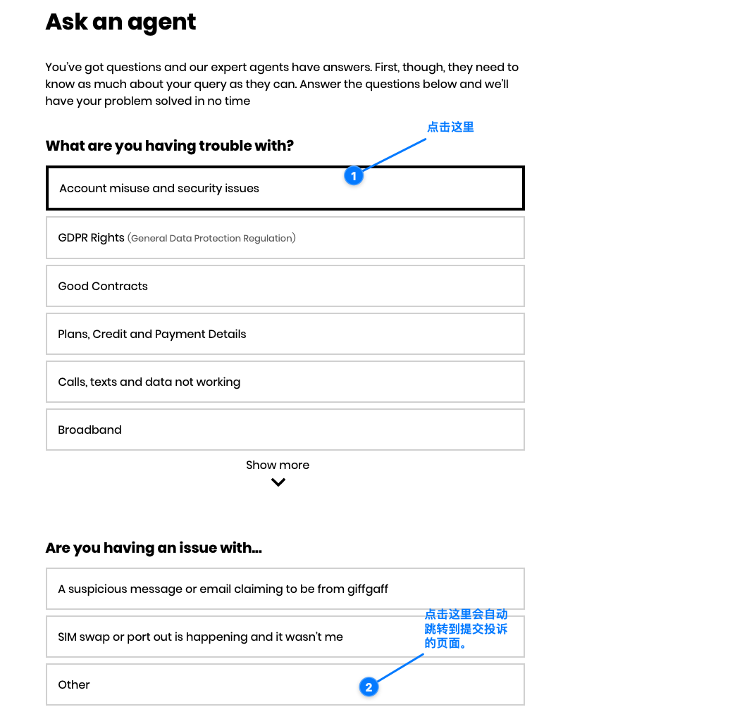 Ask an agent 页面：先选择 Account misuse and security issues，再选择 Other